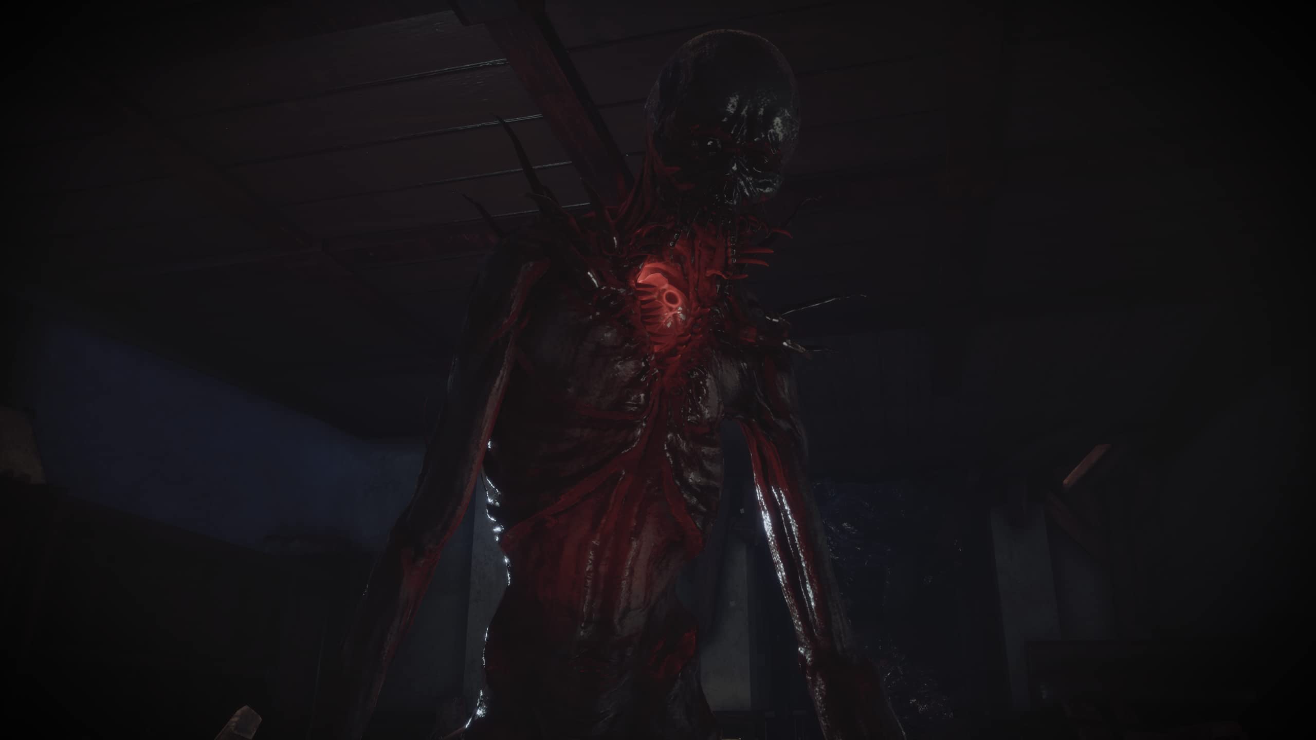 Amazon | Fobia - St Dinfna Hotel (輸入版:北米) - PS4 | アクセサリ